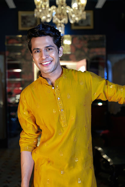 The Honey Yellow Long Kurta With Stripe Thread and Sequins Work