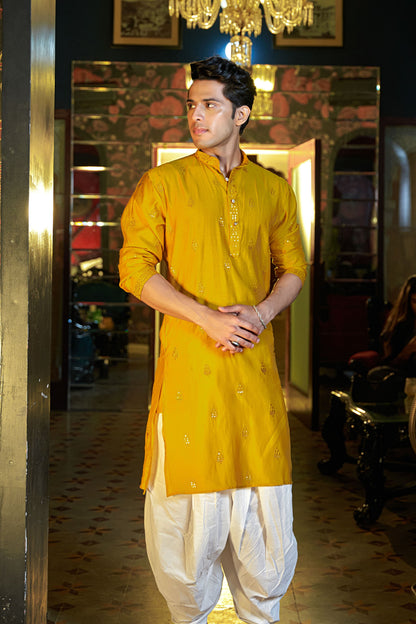 The Honey Yellow Long Kurta With Stripe Thread and Sequins Work